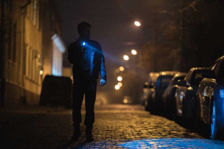 streifendienst rostock stralsund